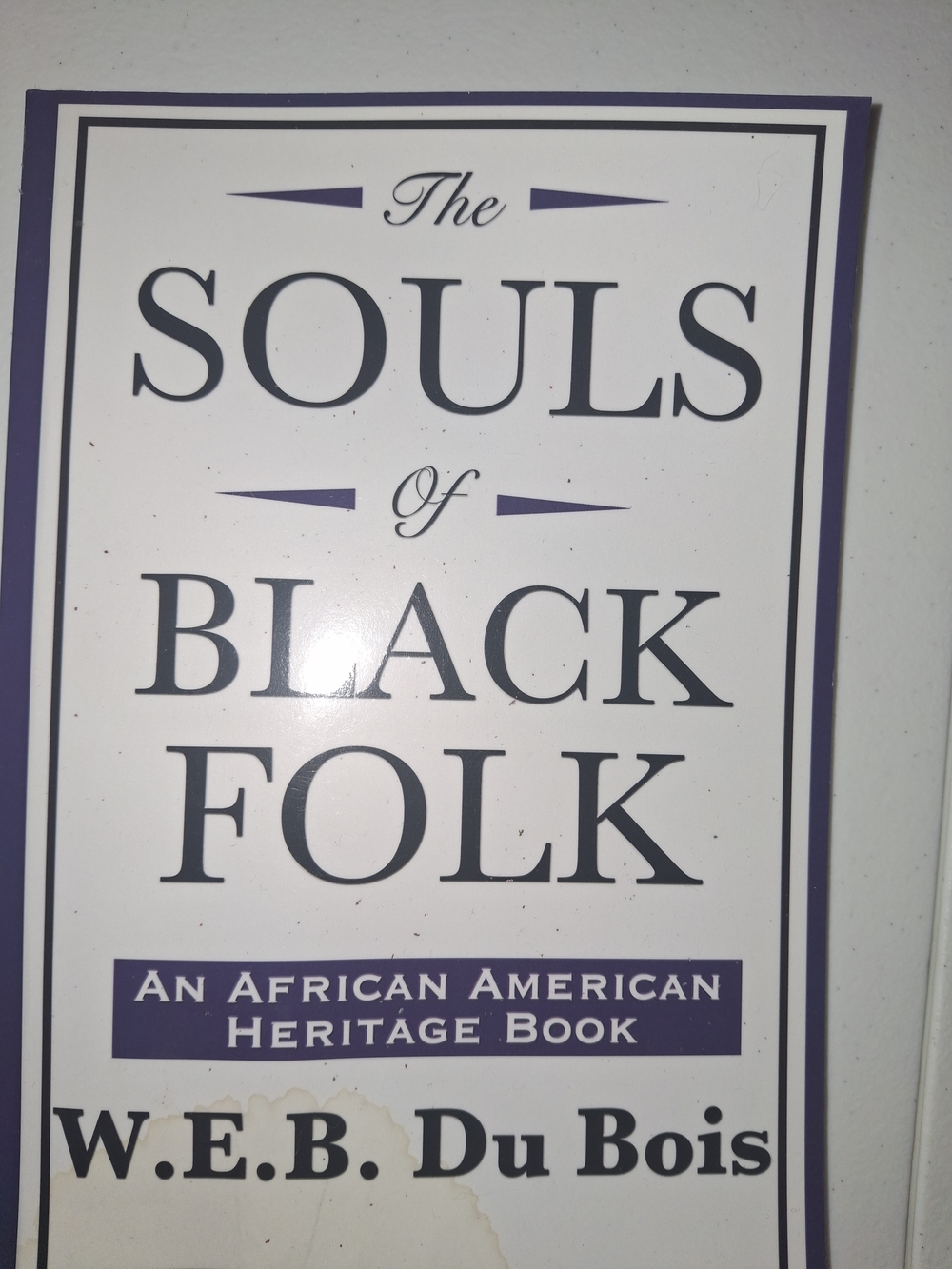 The Souls of Black Folk by W.E.B. Du Bois - White & Purple Cover